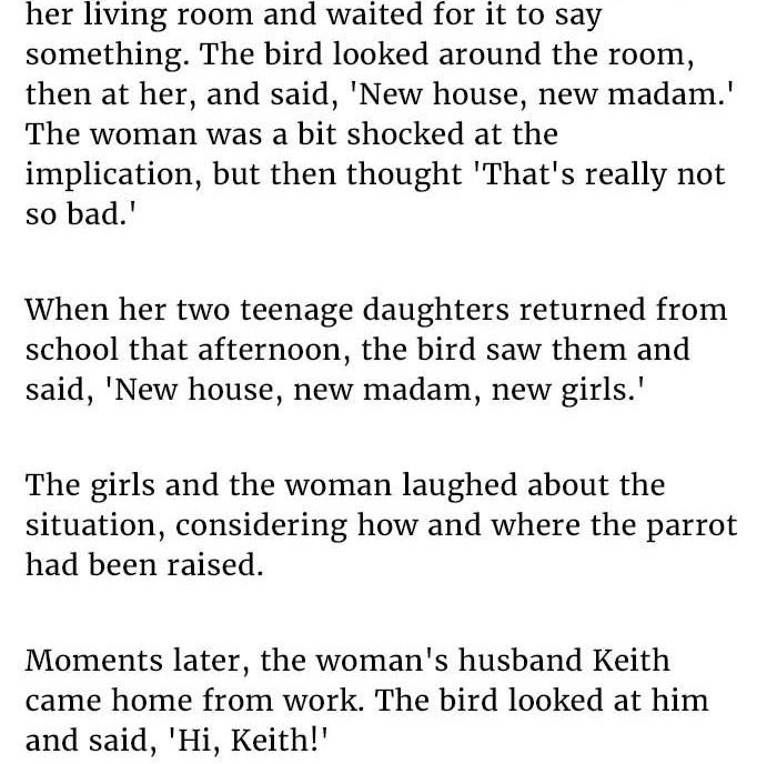 wife-bought-parrot-with-vulgar-past