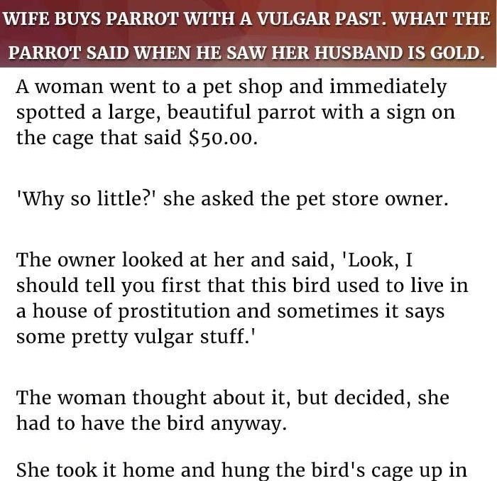 wife-bought-parrot-with-vulgar-past11